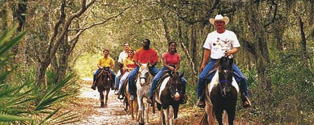Horseback Riding | Activities | Casa Lagos Punta Mita